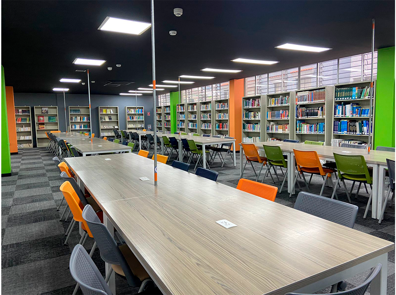 Biblioteca-pereira